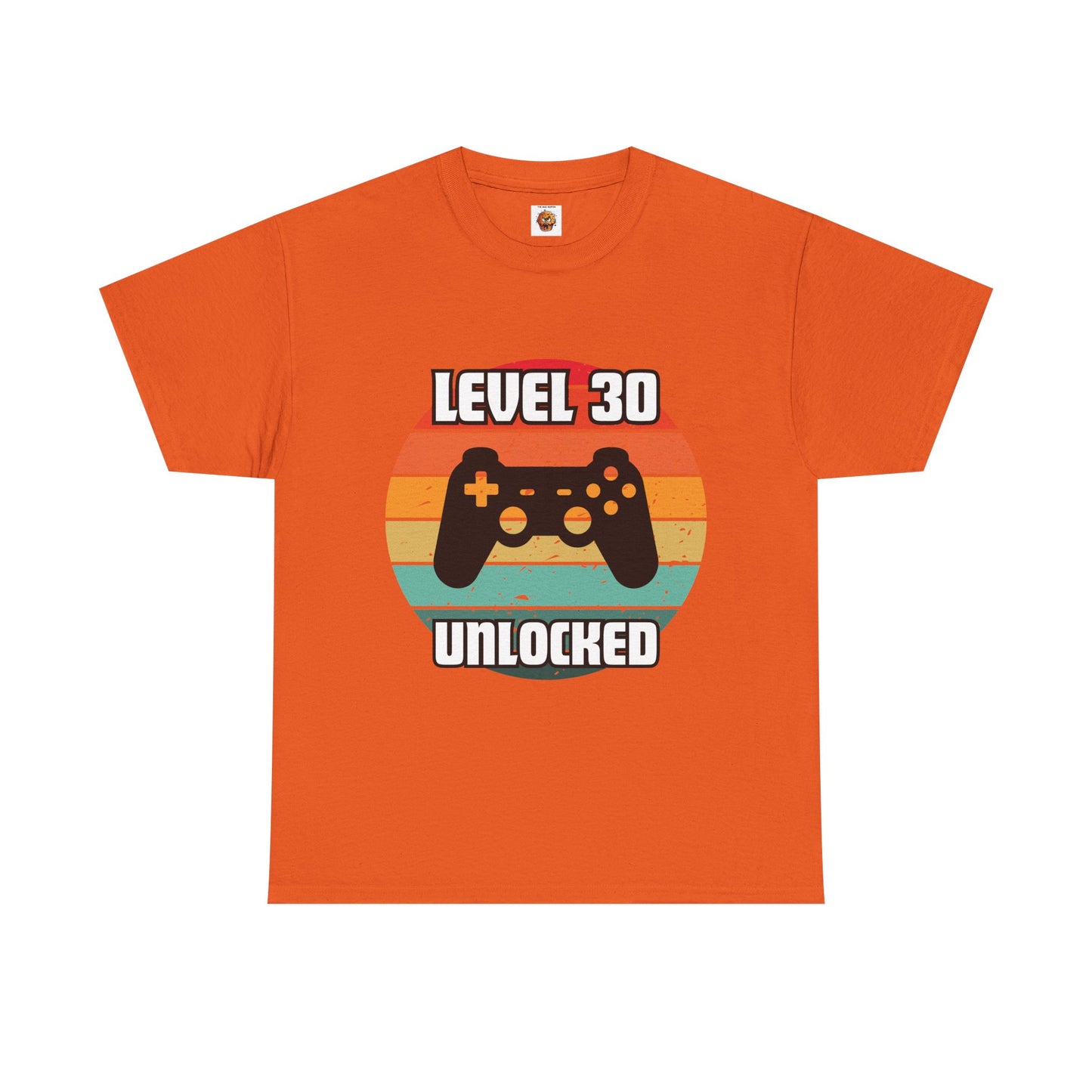 Gaming Level 30 Unlocked Tee - Unisex Heavy Cotton T-Shirt, Video Game, Gamer, Happy Birthday Shirt, Geek, Nerd, Retro
